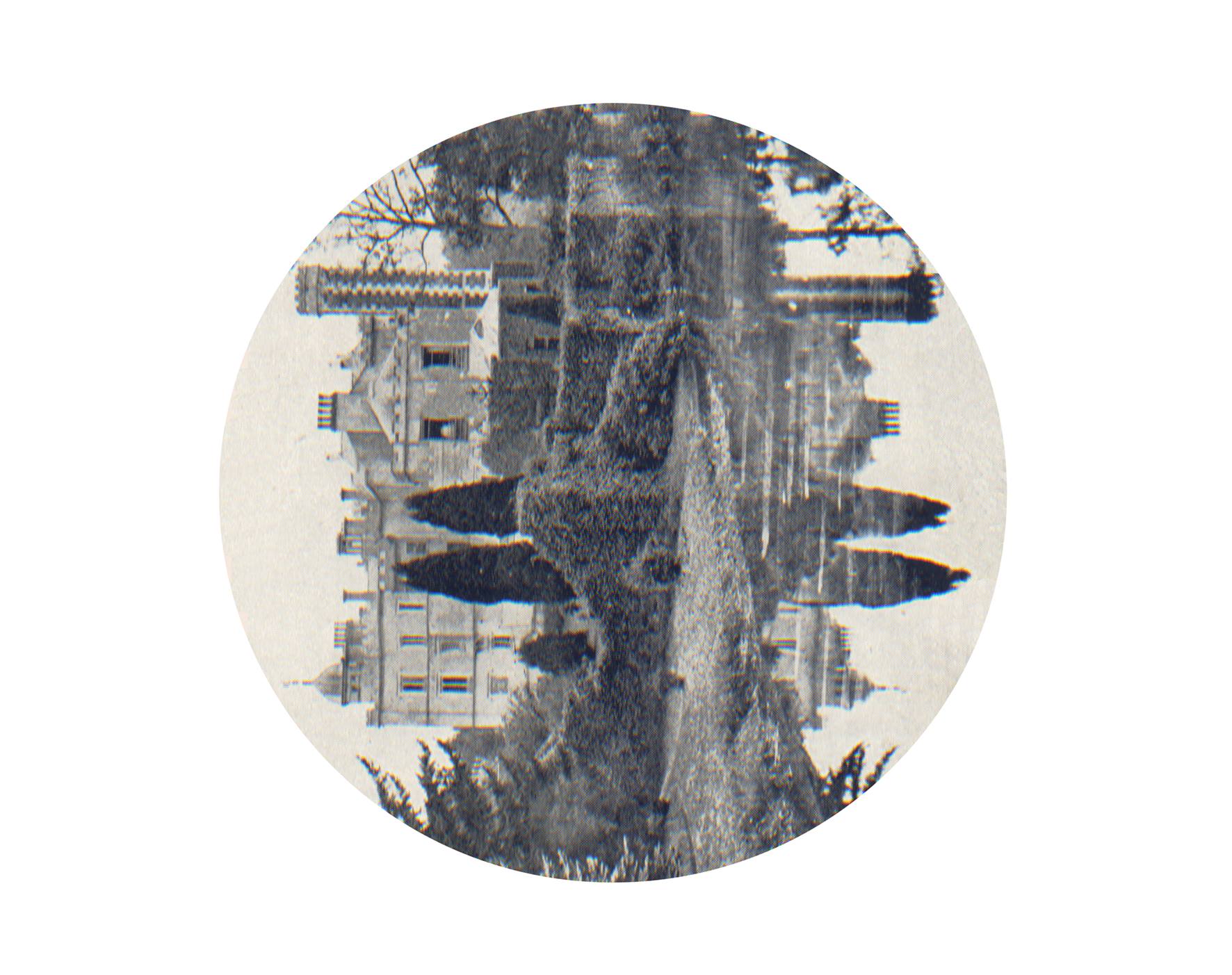 13221274_996282527091783_3698898084194477021_o